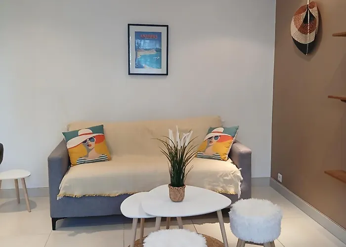 Appartement Centre Antibes Bd Albert 1Er
